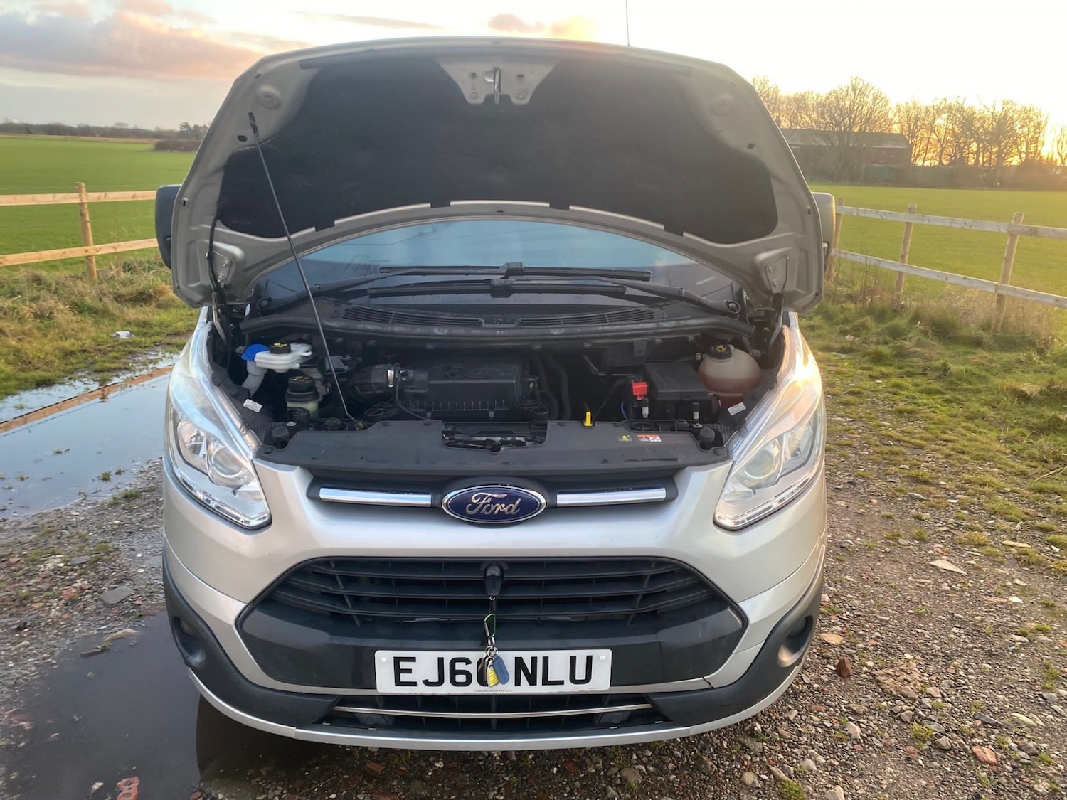 Used Ford Transit Custom 2016 for sale - 77459954: Photo 7