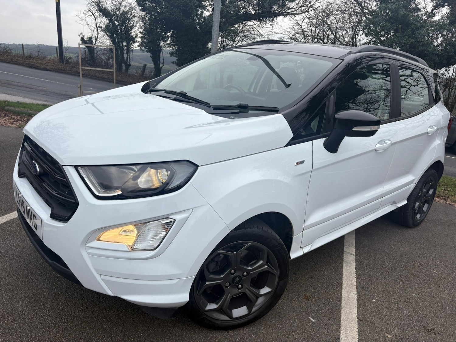 Used Ford Ecosport 2019 for sale - 77350169: Photo 1