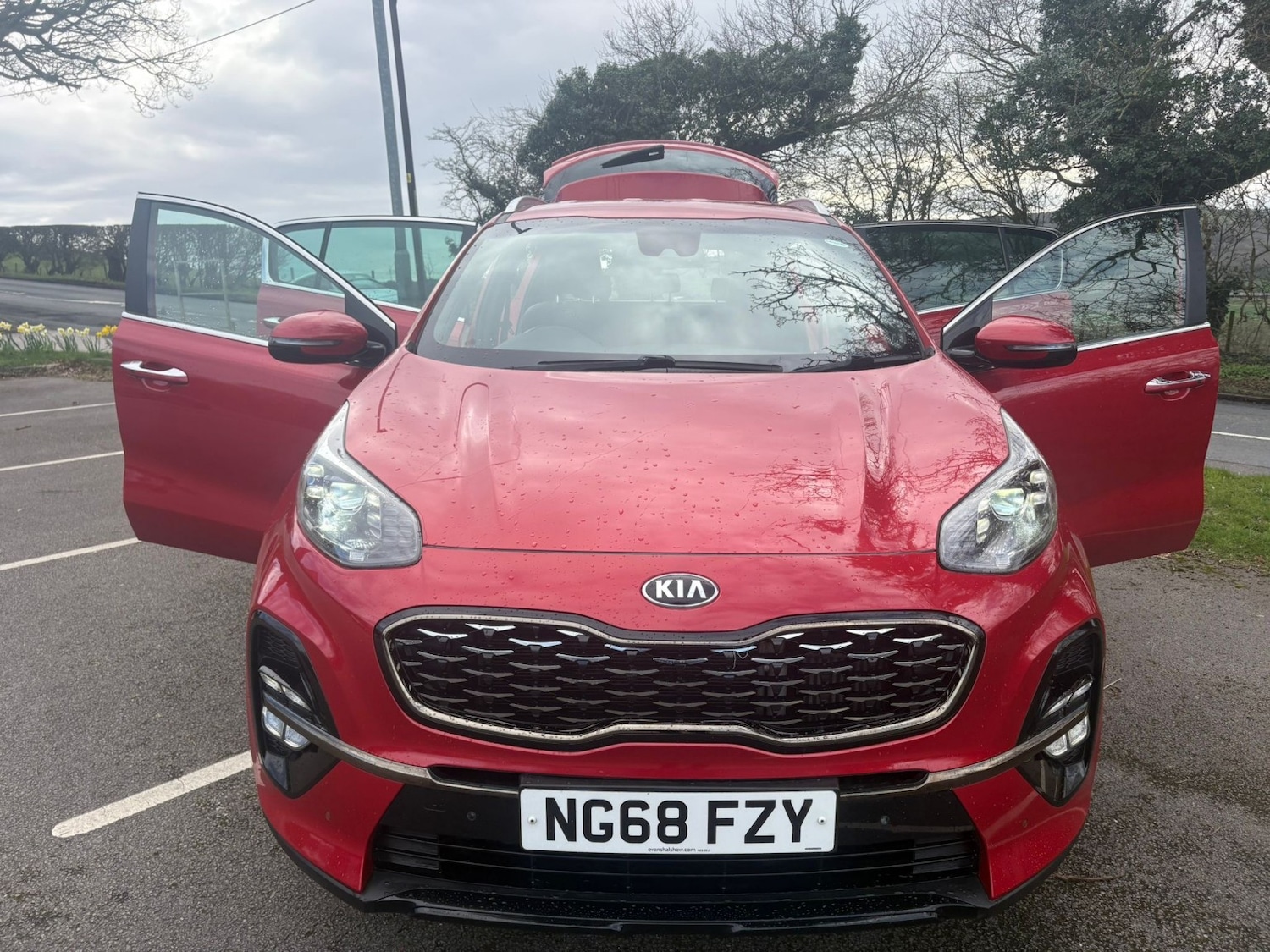 Used Kia Sportage 2019 for sale - 77590120: Photo 8