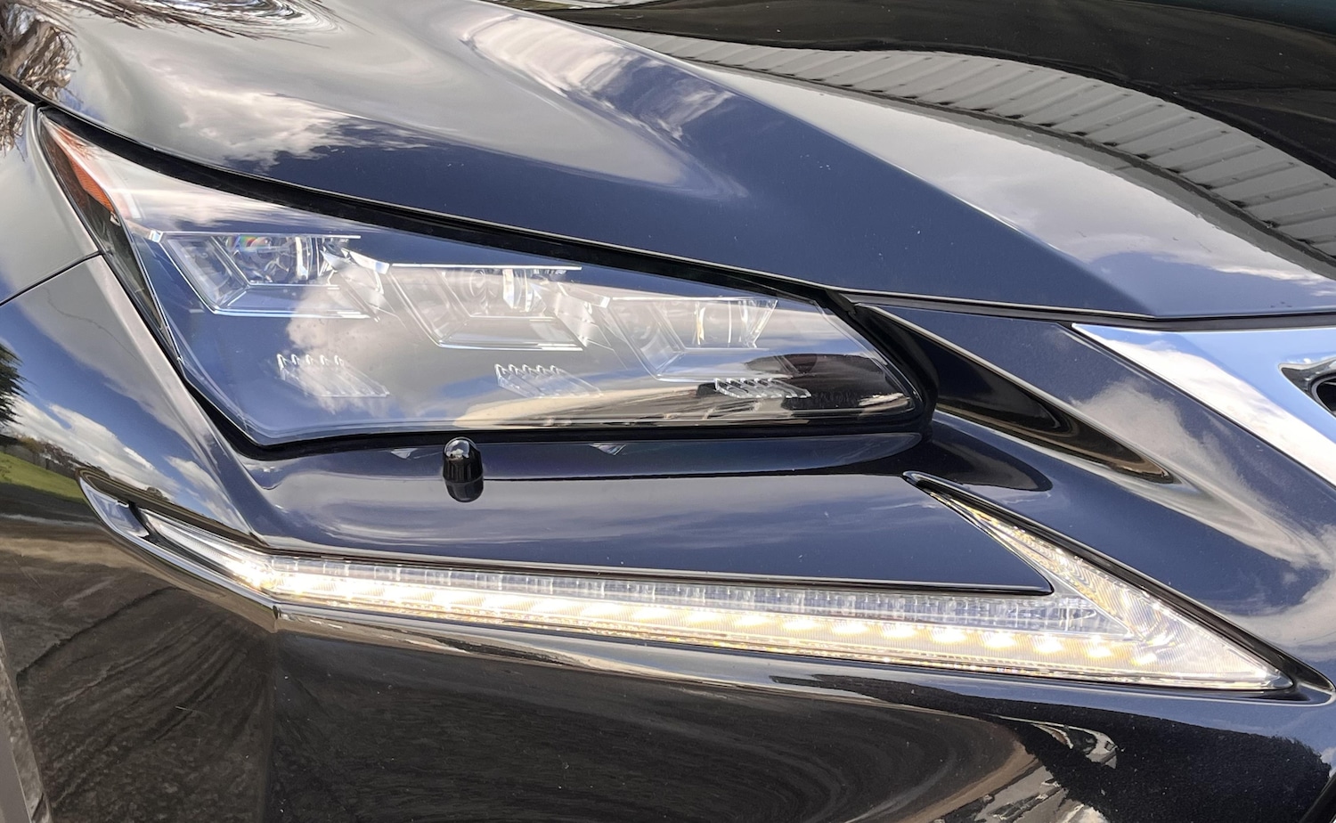 Used Lexus NX for sale - 78149617: Photo 10