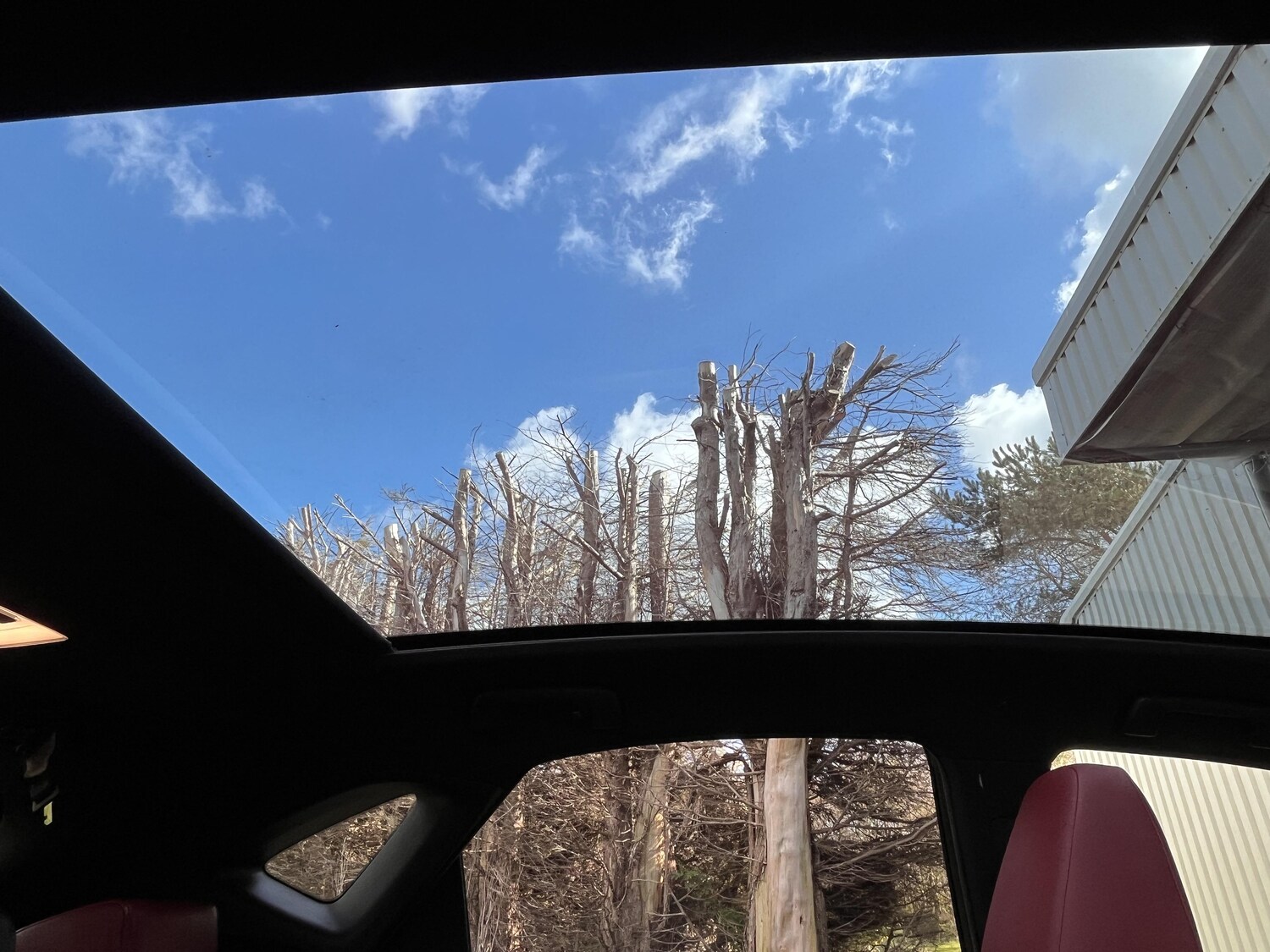 Used Lexus NX for sale - 78149617: Photo 36