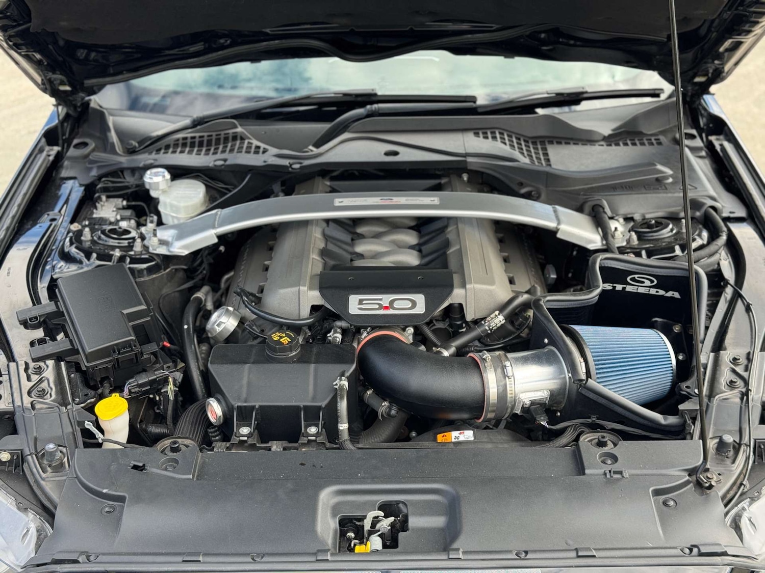 Used Ford Mustang 2017 for sale - 76277406: Photo 54