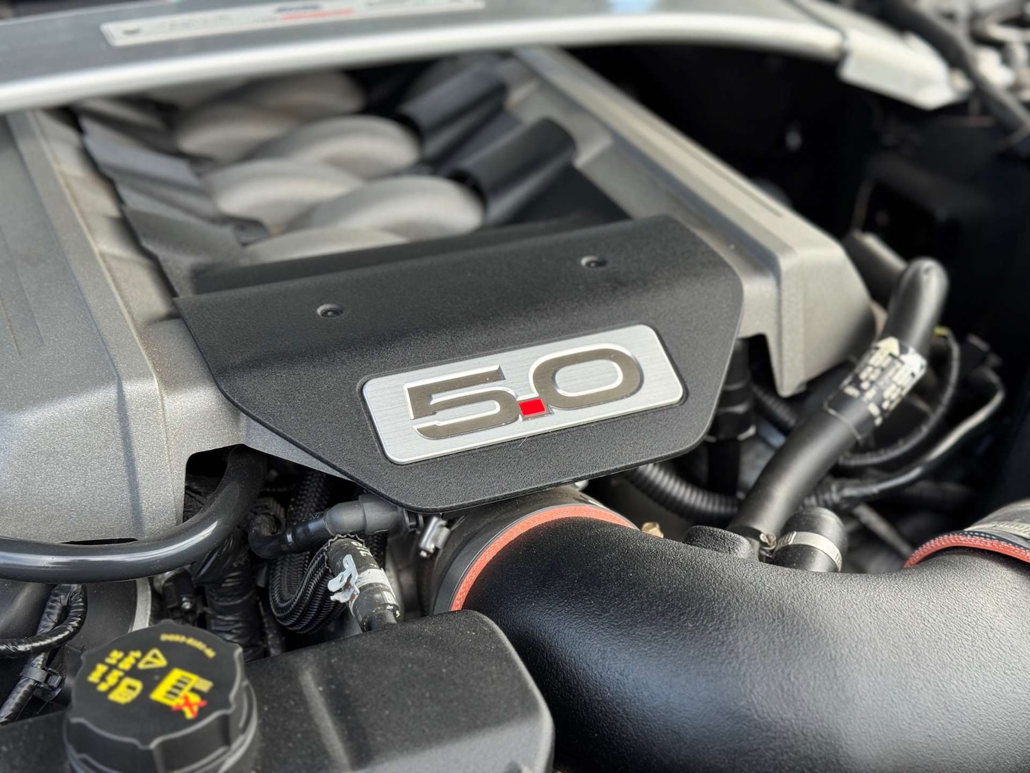 Used Ford Mustang 2017 for sale - 76277406: Photo 56