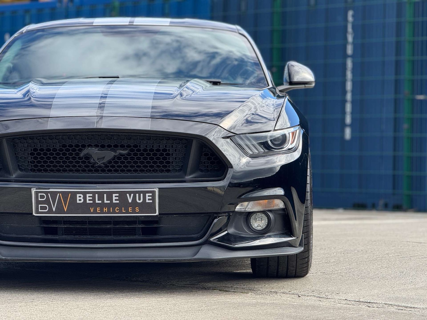 Used Ford Mustang 2017 for sale - 76277406: Photo 63