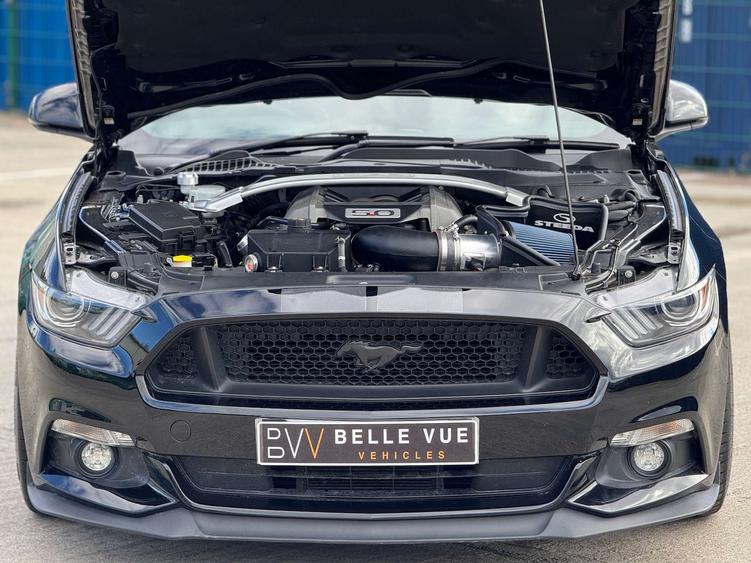 Used Ford Mustang 2017 for sale - 76277406: Photo 68