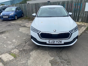 Used Skoda Octavia 2021 for sale - 79142495: Photo