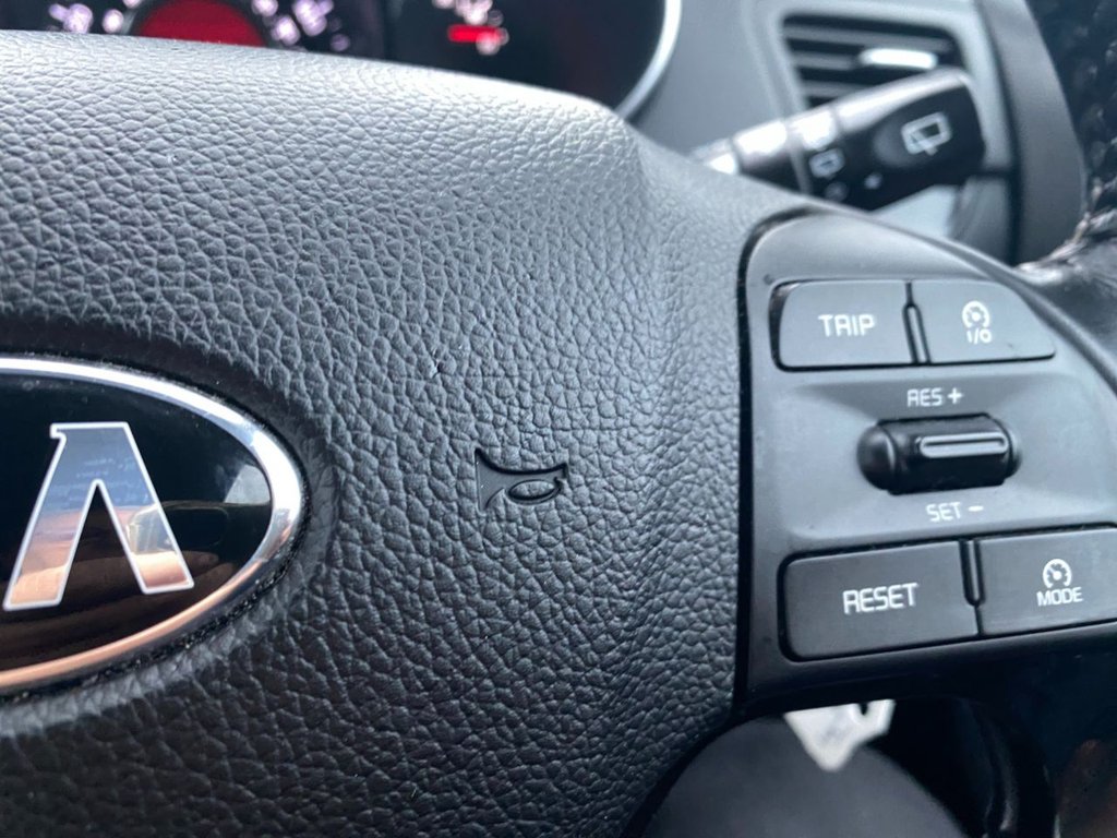 Used Kia Picanto 2016 for sale - 76570469: Photo 12