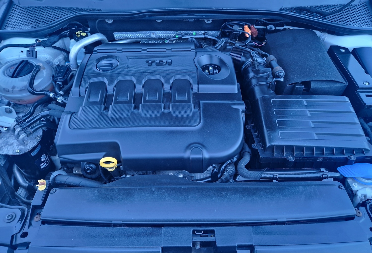 Used SEAT Leon 2013 for sale - 76862827: Photo 31