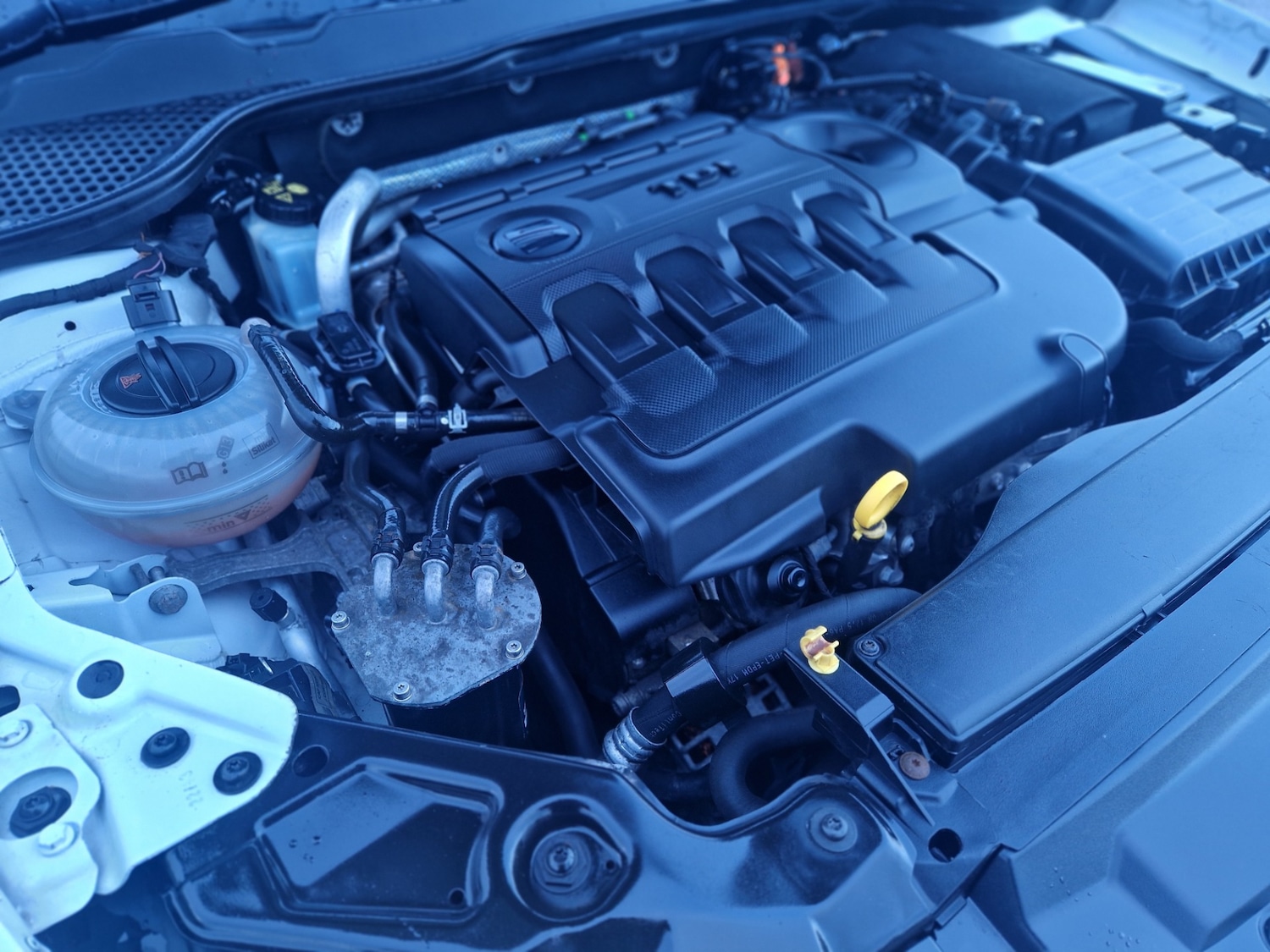 Used SEAT Leon 2013 for sale - 76862827: Photo 32