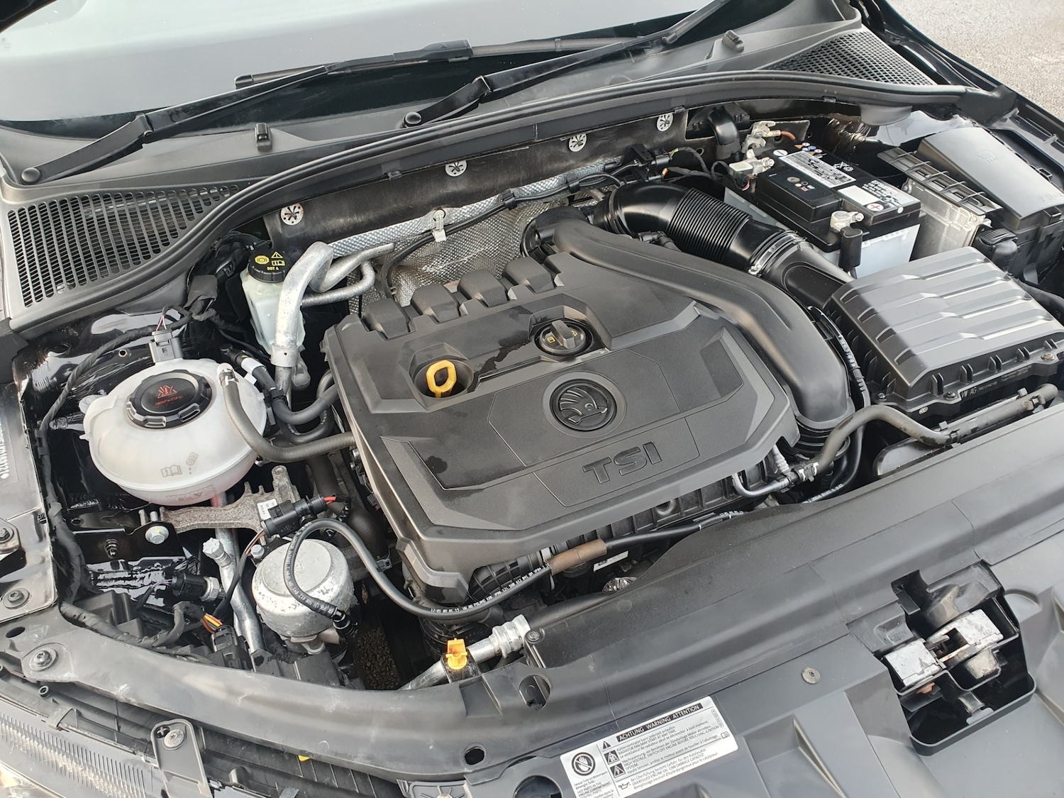 Used Skoda Octavia 2019 for sale - 76932351: Photo 26