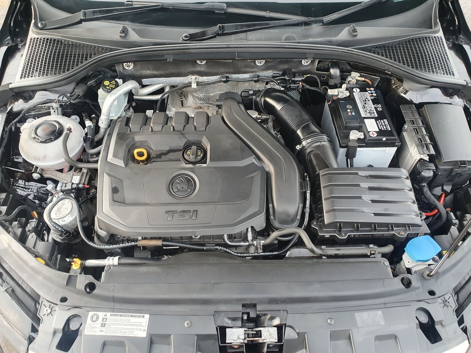 Used Skoda Octavia 2019 for sale - 76932351: Photo 27