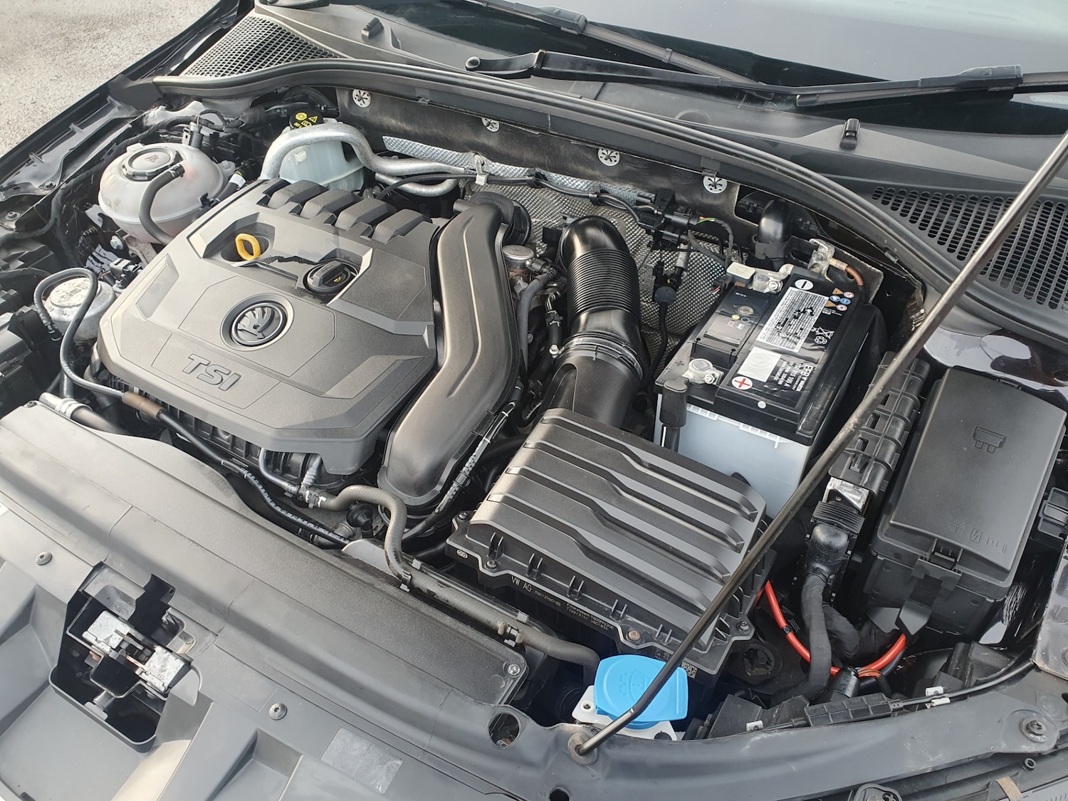 Used Skoda Octavia 2019 for sale - 76932351: Photo 28