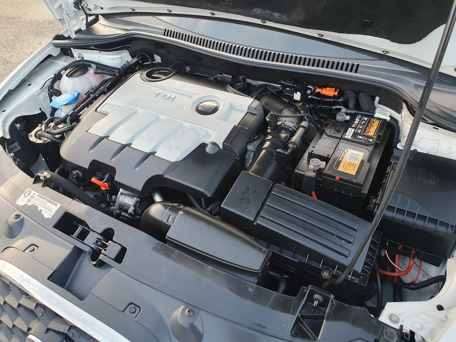 Used SEAT Leon 2010 for sale - 77400107: Photo 31