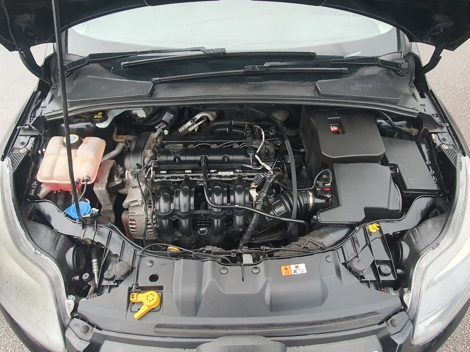 Used Ford Focus 2011 for sale - 76590074: Photo 27