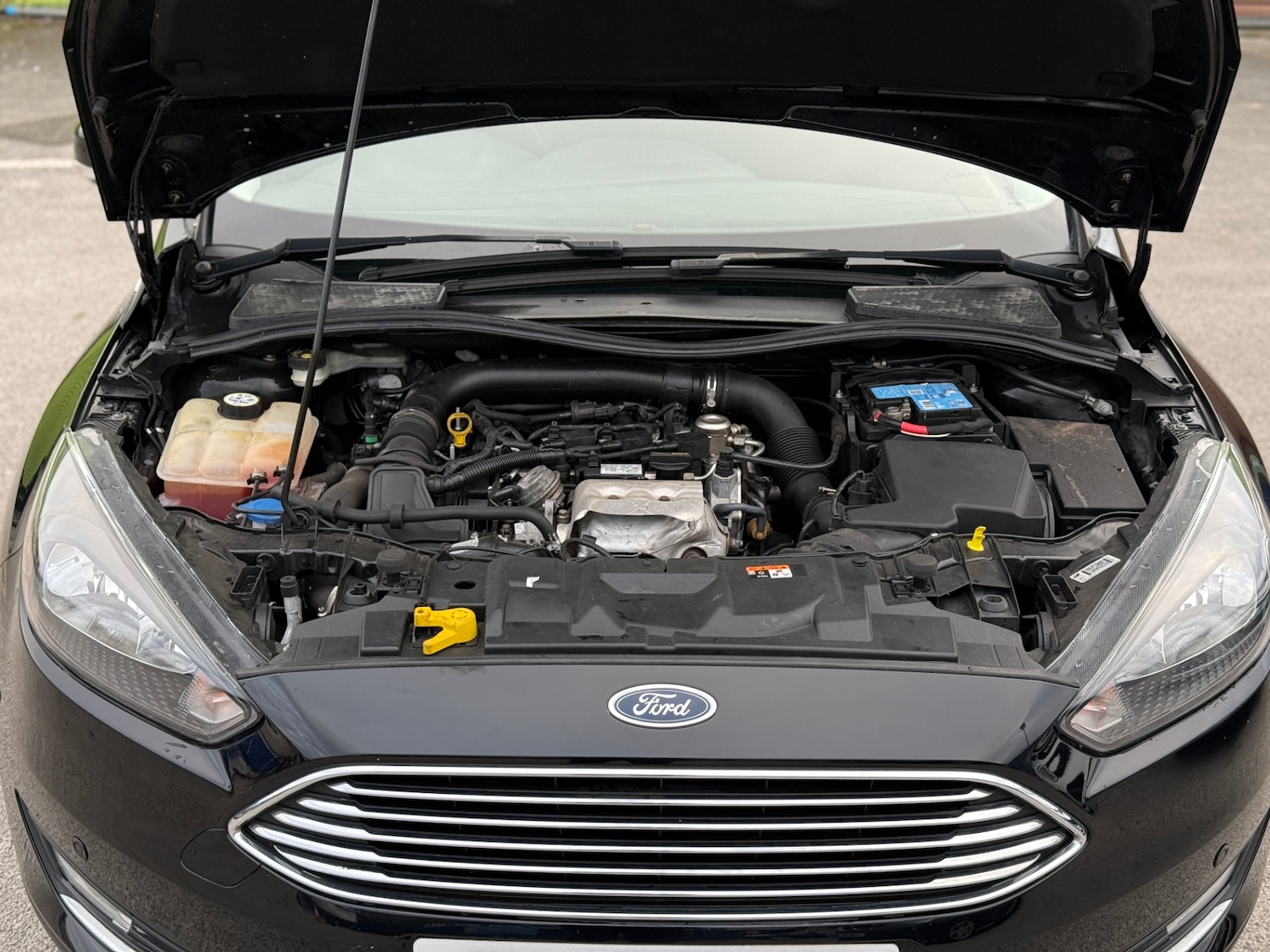 Used Ford Focus 2016 for sale - 78036285: Photo 9