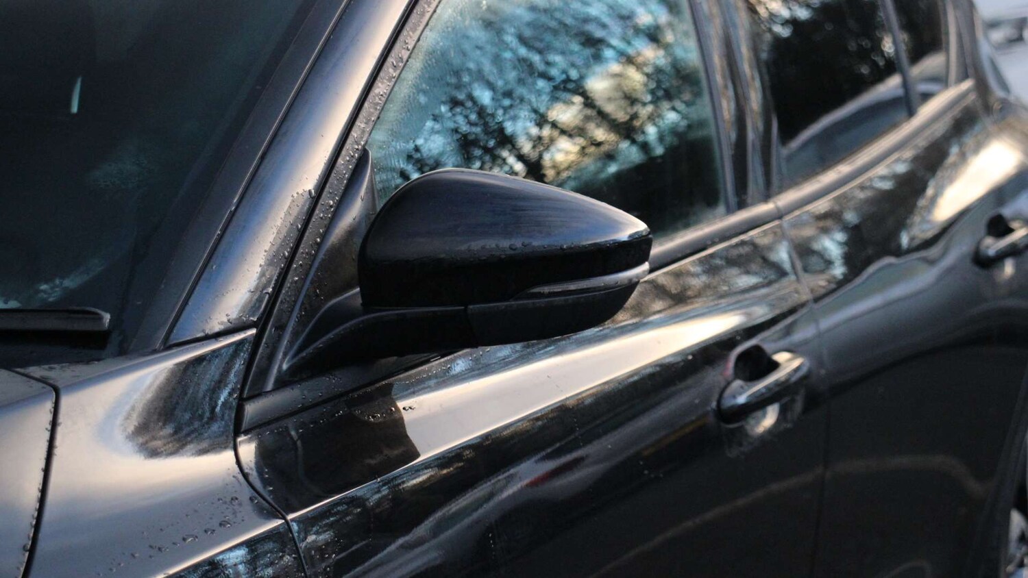 Used Ford Focus 2022 for sale - 77353739: Photo 10