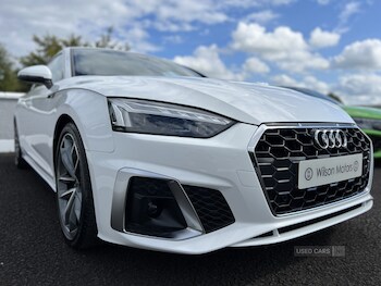 Used Audi A5 2023 for sale - 75494402: Photo