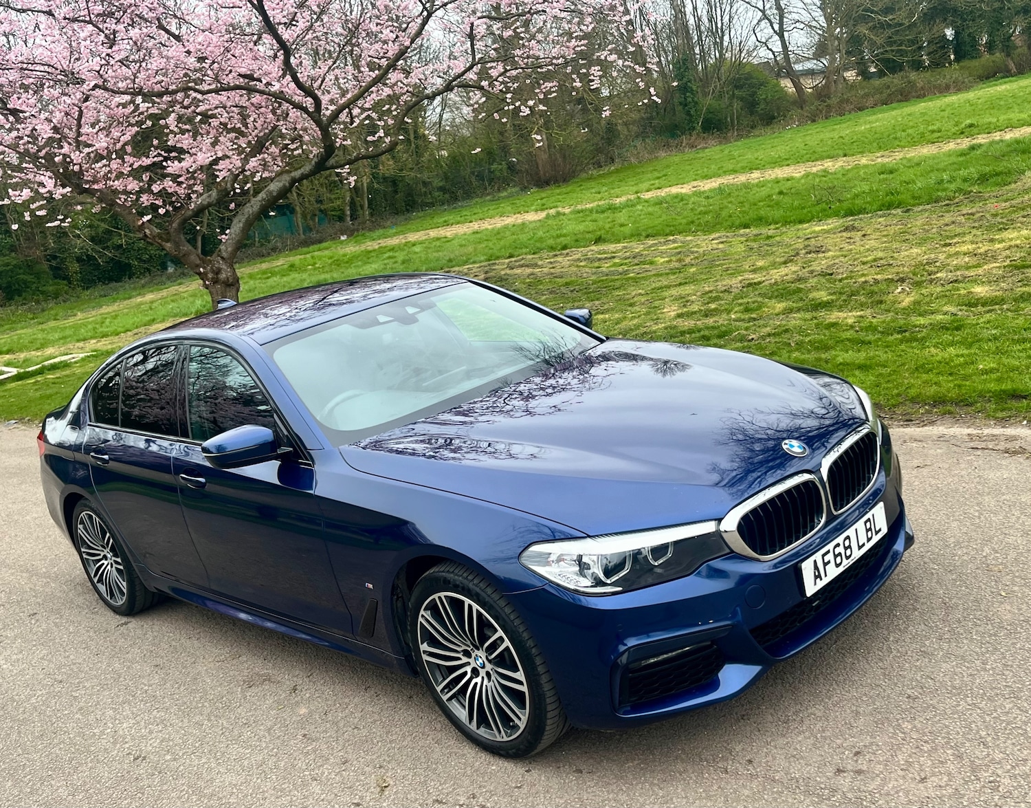 Used BMW 5 Series 2018 for sale - 78043220: Photo 13