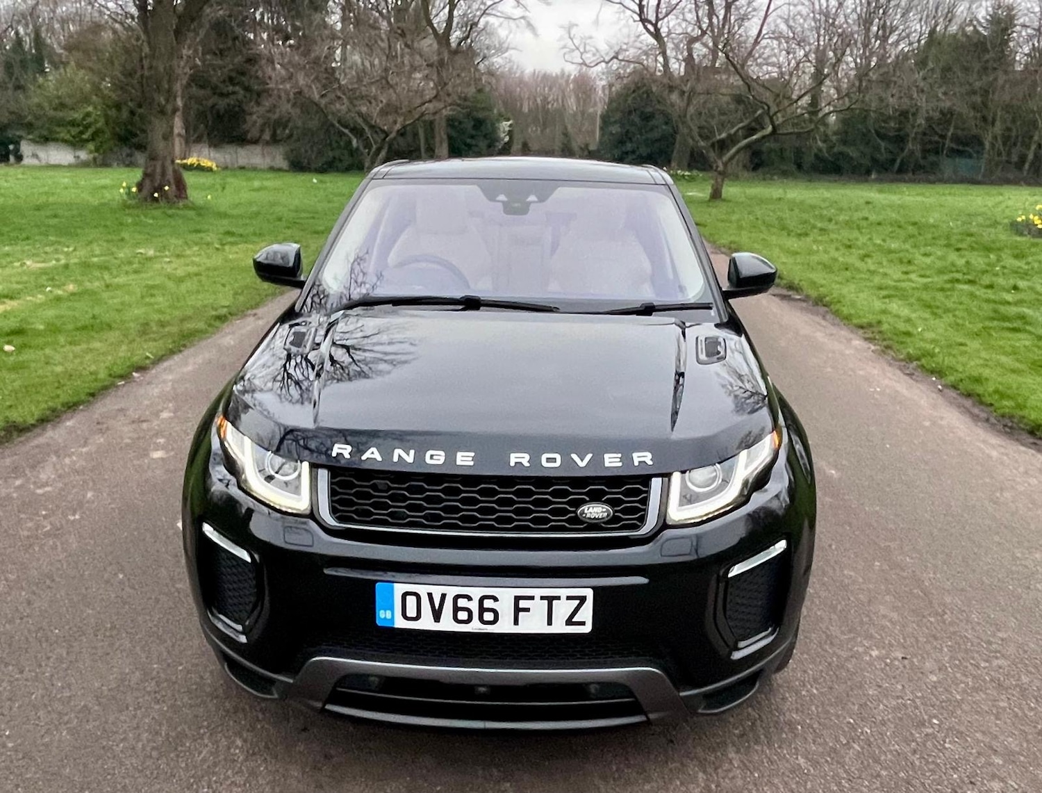 Used Land Rover Range Rover Evoque 2016 for sale - 78043216: Photo 14