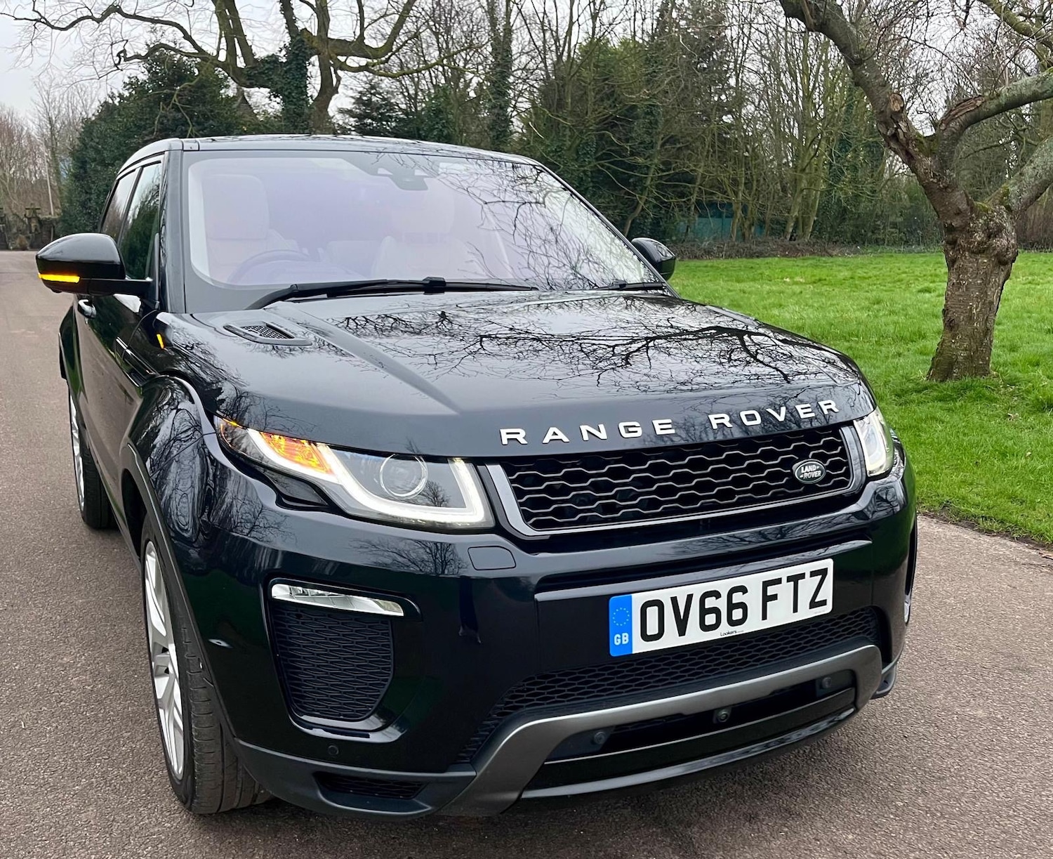 Used Land Rover Range Rover Evoque 2016 for sale - 78043216: Photo 7