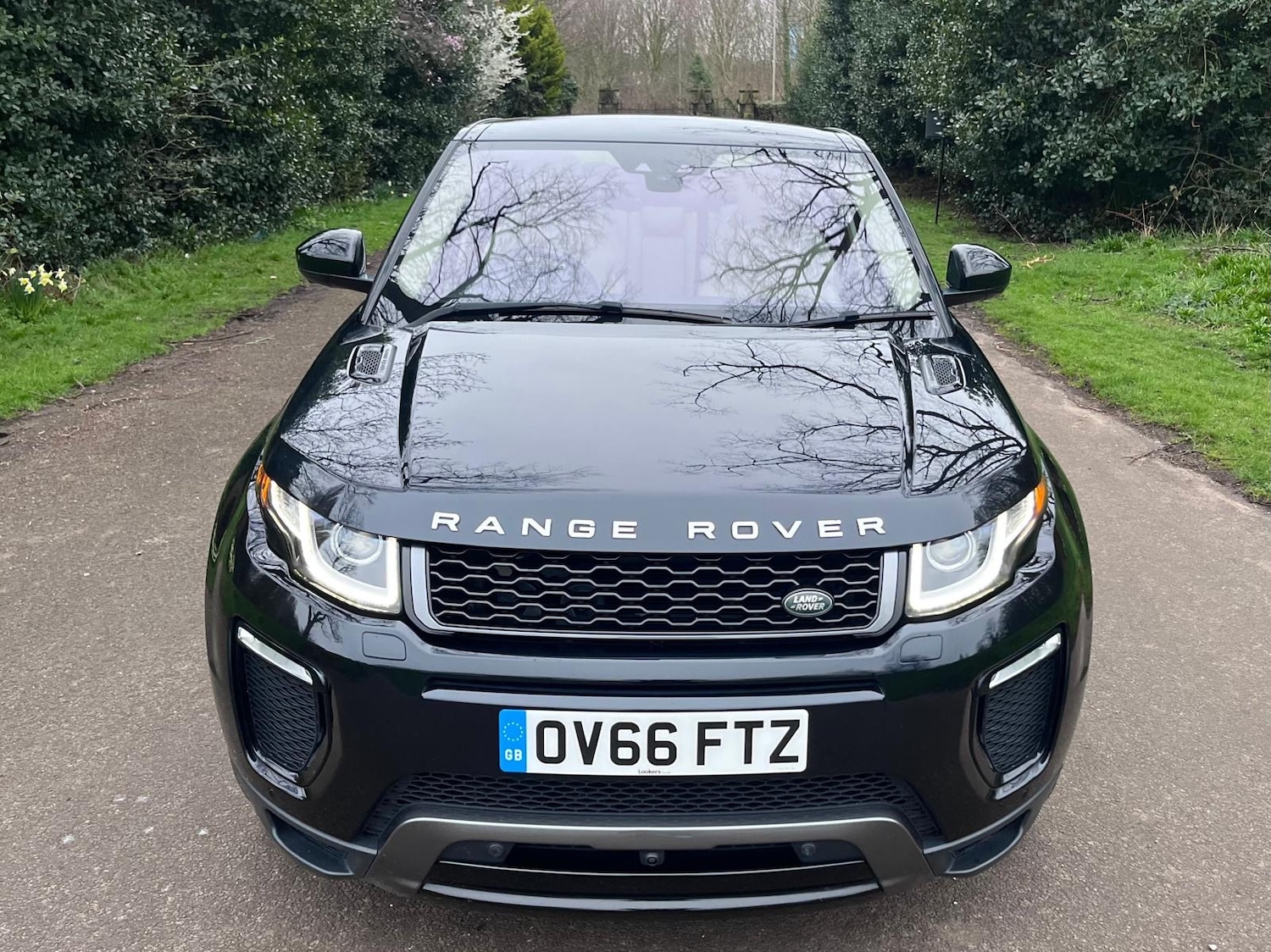 Used Land Rover Range Rover Evoque 2016 for sale - 78043216: Photo 91
