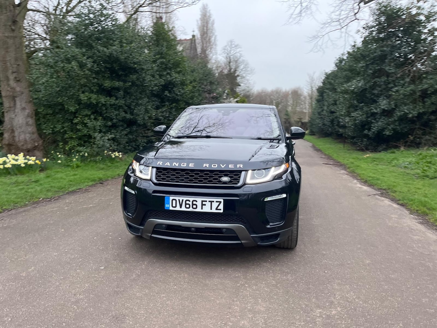 Used Land Rover Range Rover Evoque 2016 for sale - 78043216: Photo 92