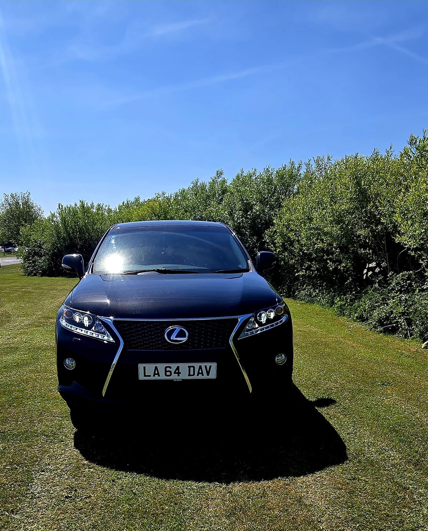 Used Lexus RX 2015 for sale - 78043227: Photo 11