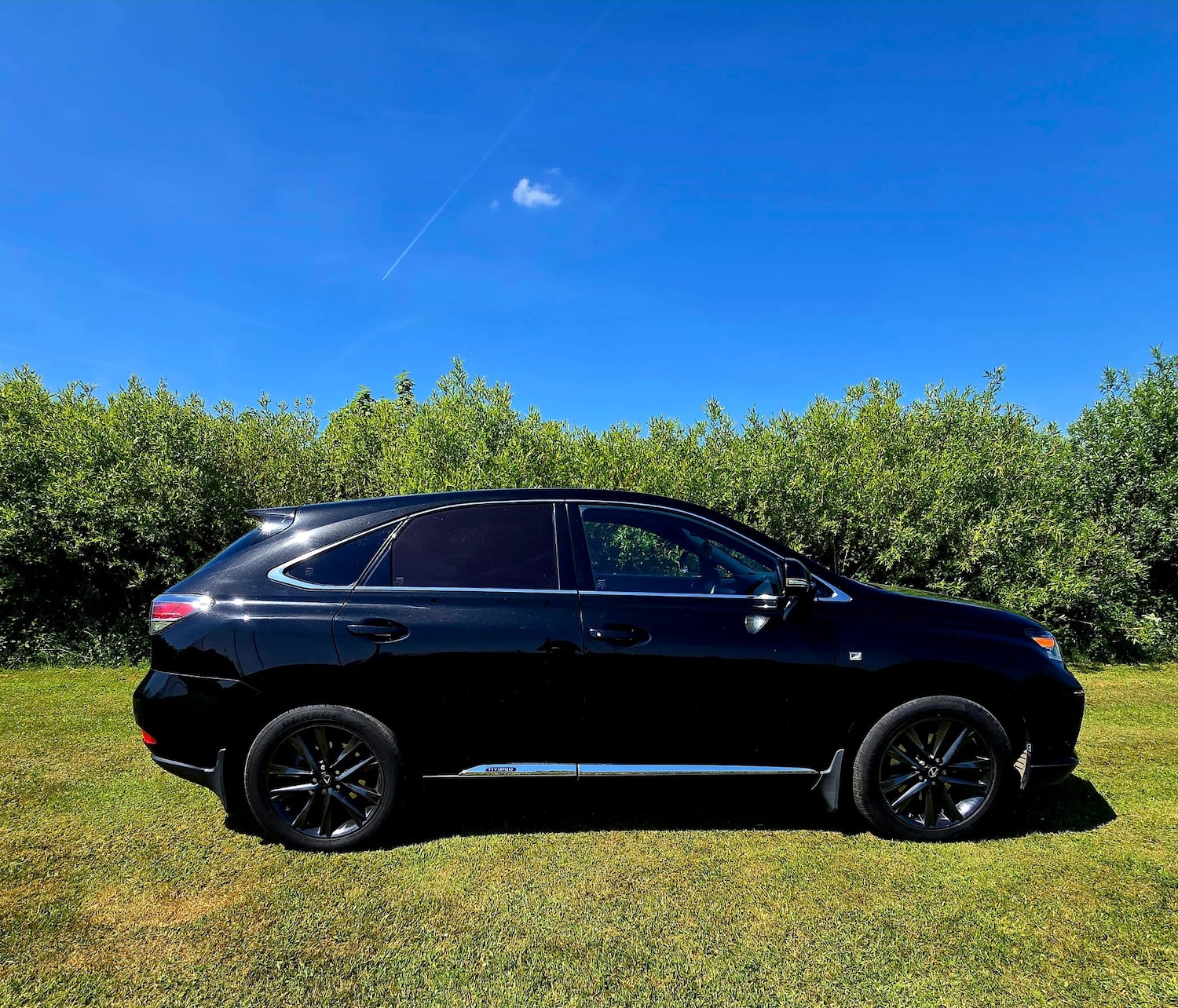 Used Lexus RX 2015 for sale - 78043227: Photo 3