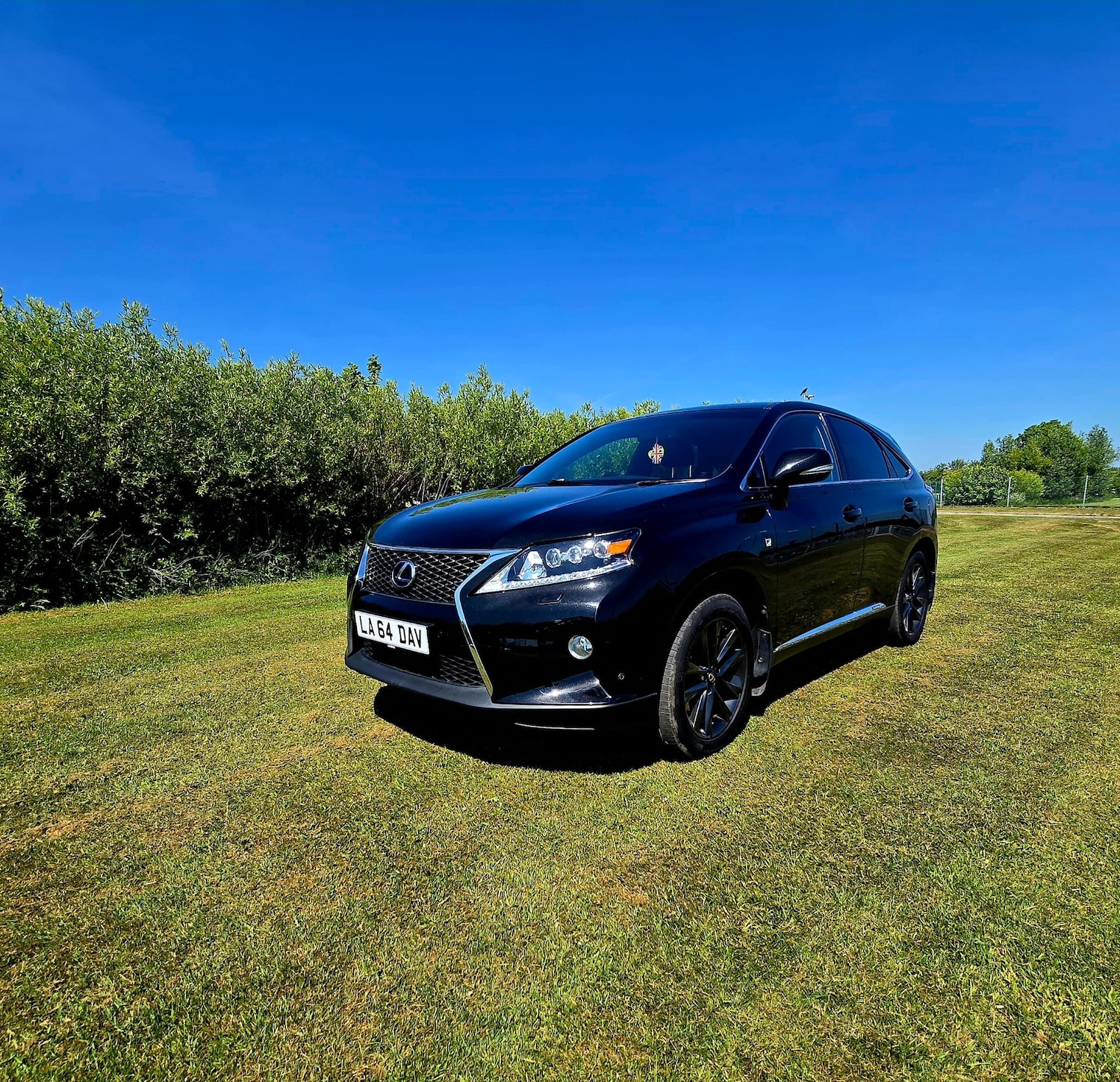 Used Lexus RX 2015 for sale - 78043227: Photo 69