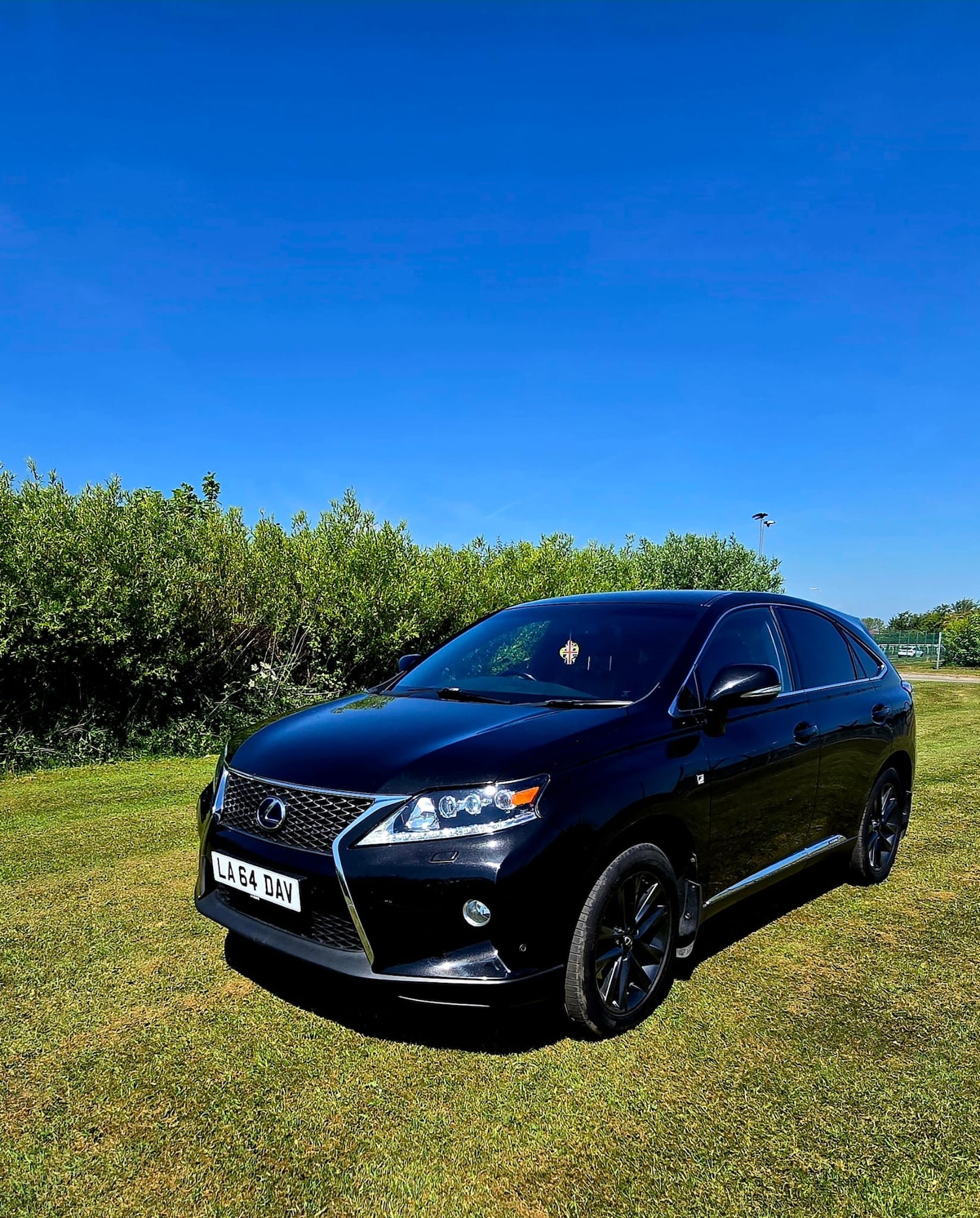 Used Lexus RX 2015 for sale - 78043227: Photo 73