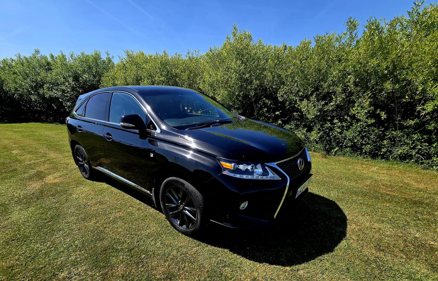 Used Lexus RX 2015 for sale - 78043227: Photo 8