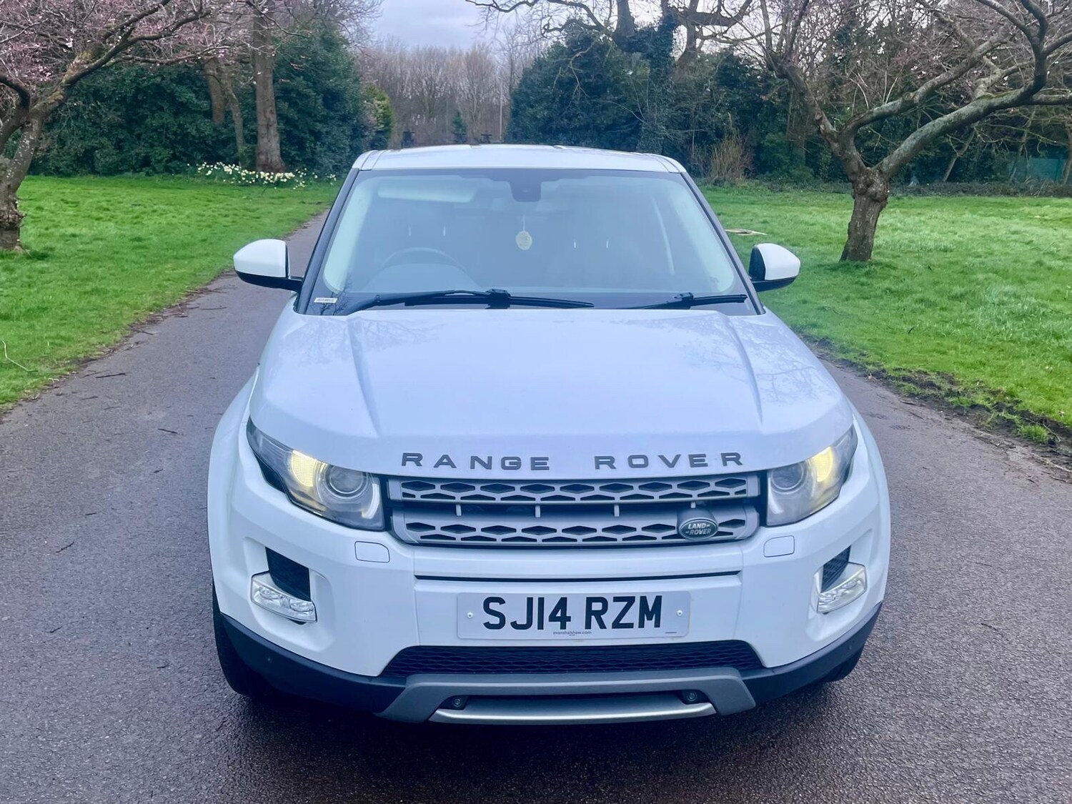 Used Land Rover Range Rover Evoque 2014 for sale - 78043222: Photo 32