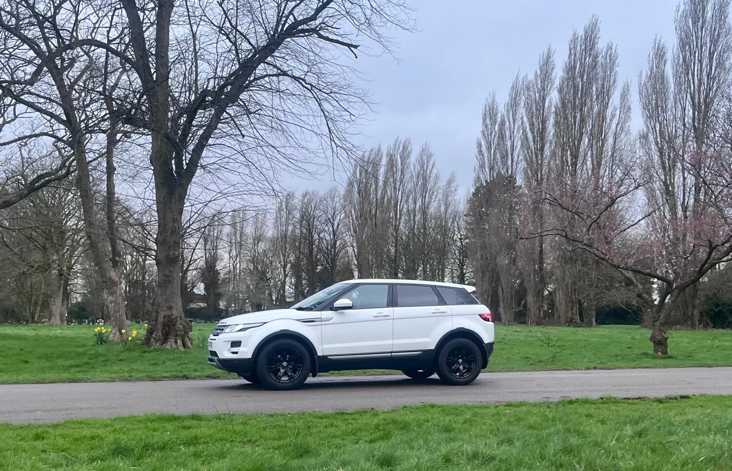 Used Land Rover Range Rover Evoque 2014 for sale - 78043222: Photo 37