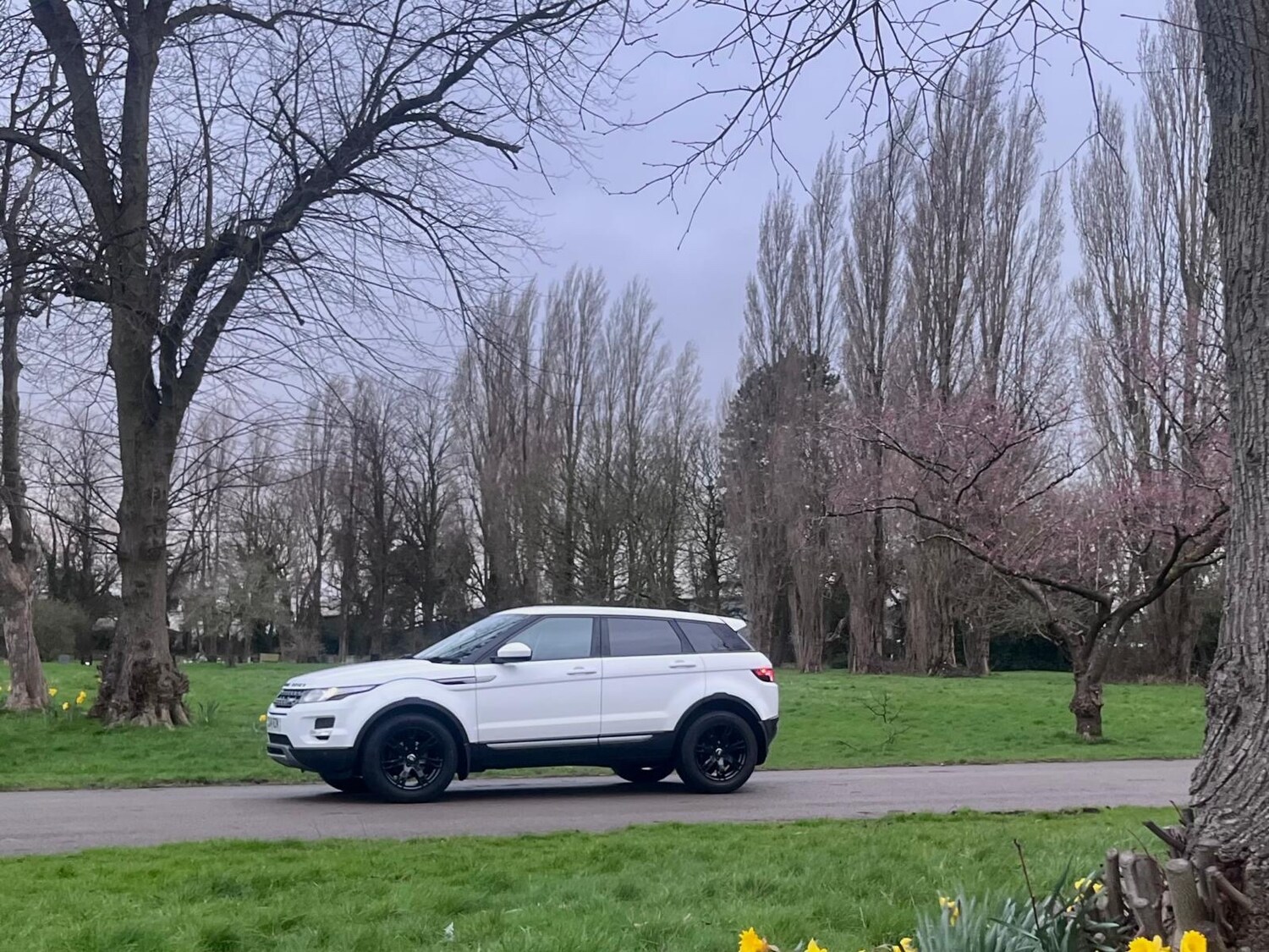 Used Land Rover Range Rover Evoque 2014 for sale - 78043222: Photo 53