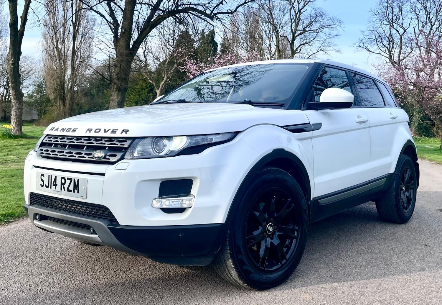 Used Land Rover Range Rover Evoque 2014 for sale - 78043222: Photo 6