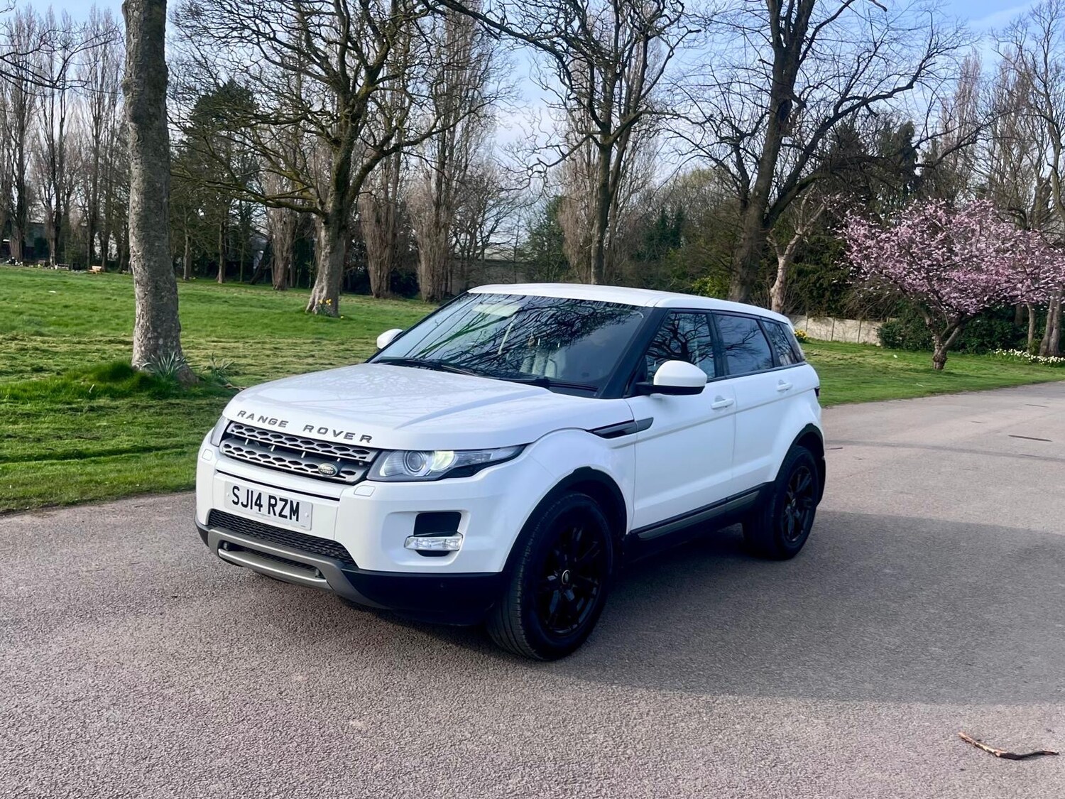 Used Land Rover Range Rover Evoque 2014 for sale - 78043222: Photo 77