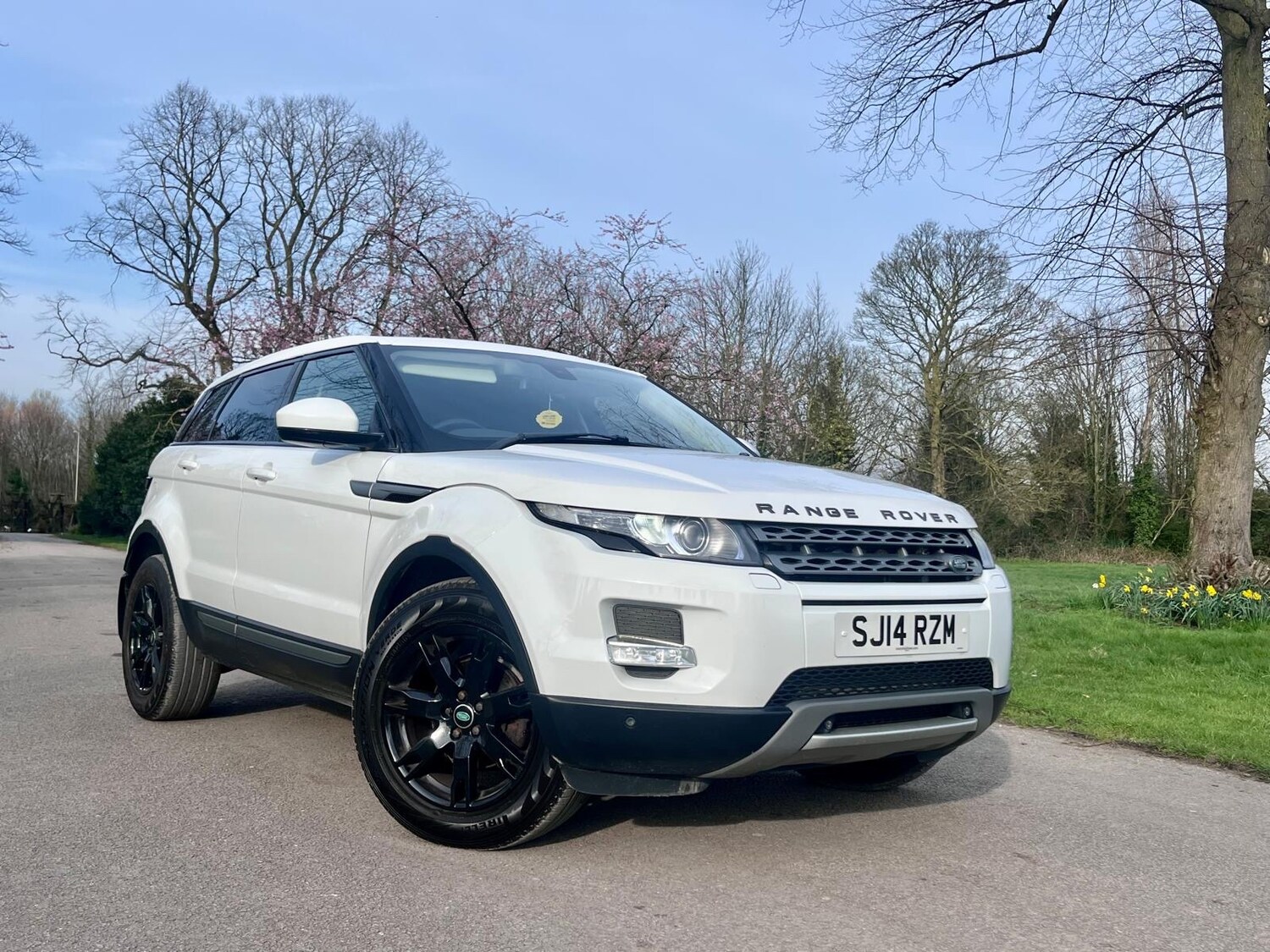 Used Land Rover Range Rover Evoque 2014 for sale - 78043222: Photo 81