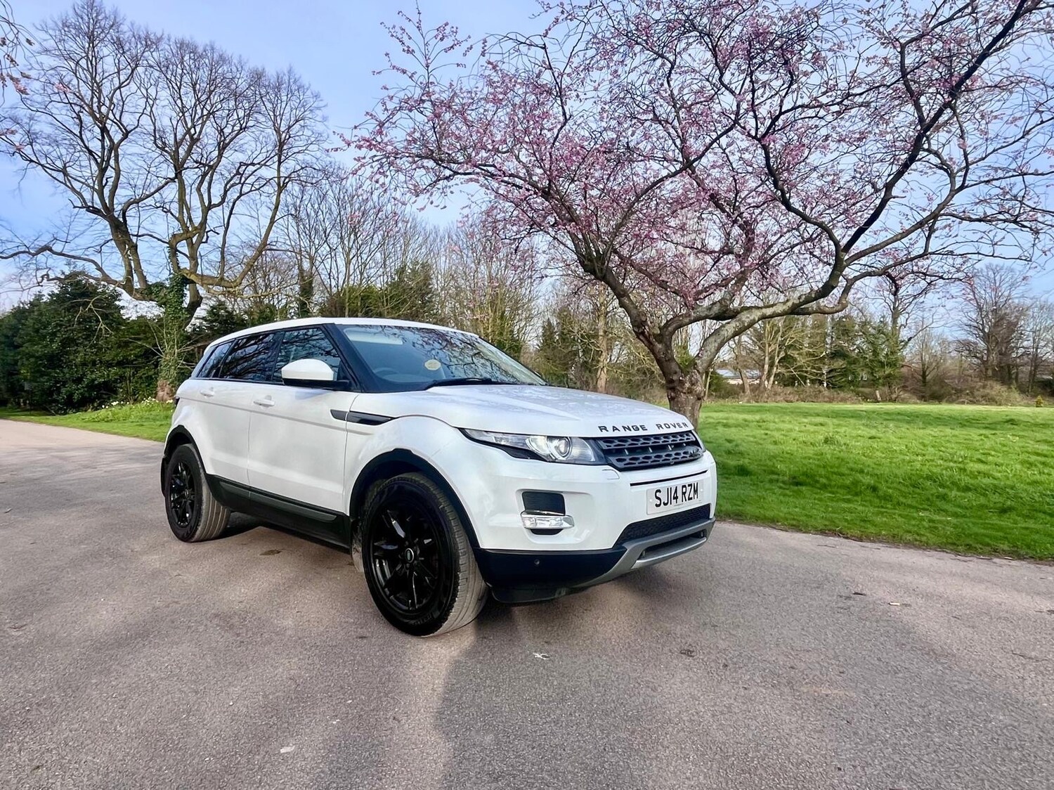 Used Land Rover Range Rover Evoque 2014 for sale - 78043222: Photo 86