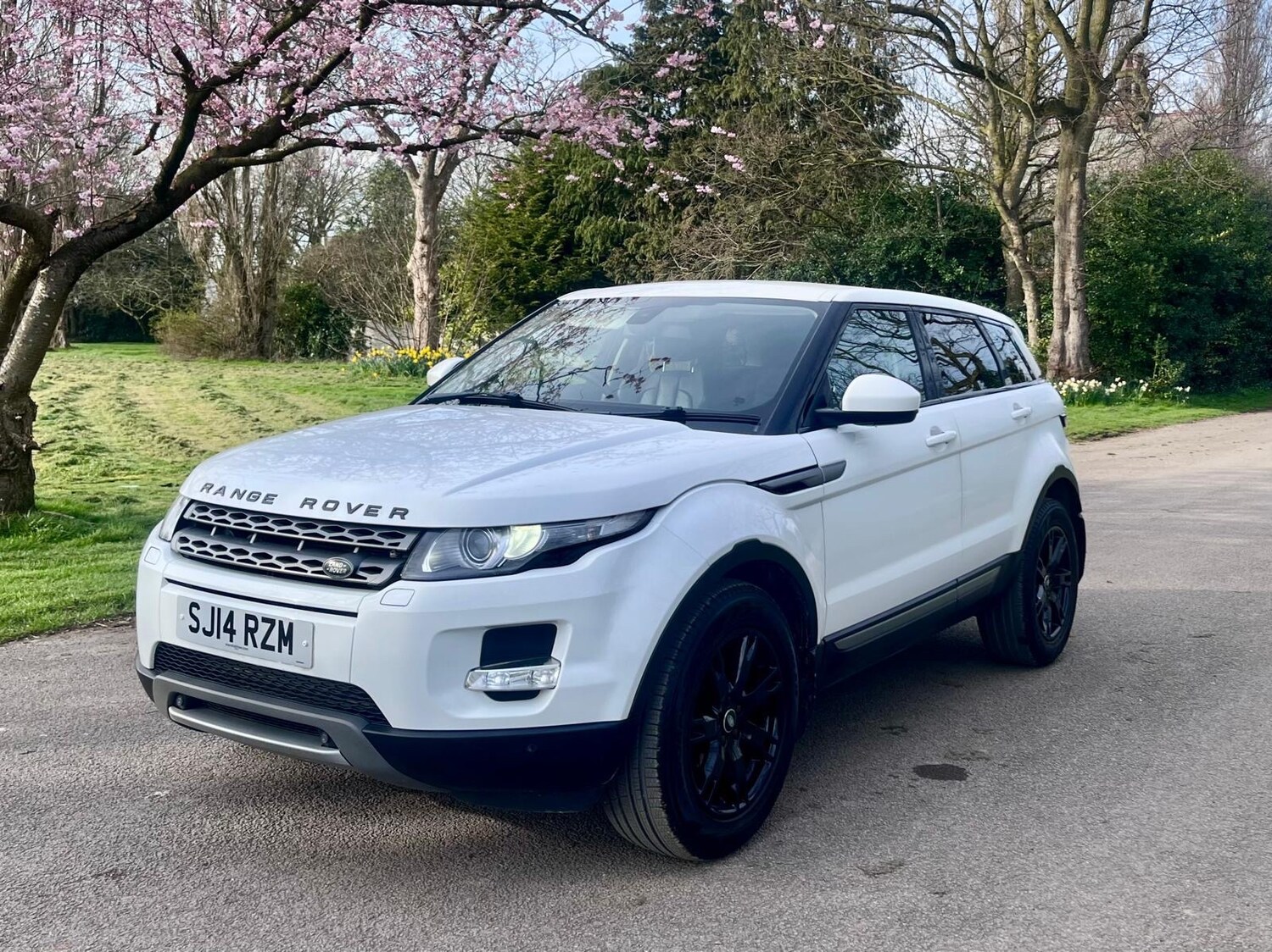 Used Land Rover Range Rover Evoque 2014 for sale - 78043222: Photo 87