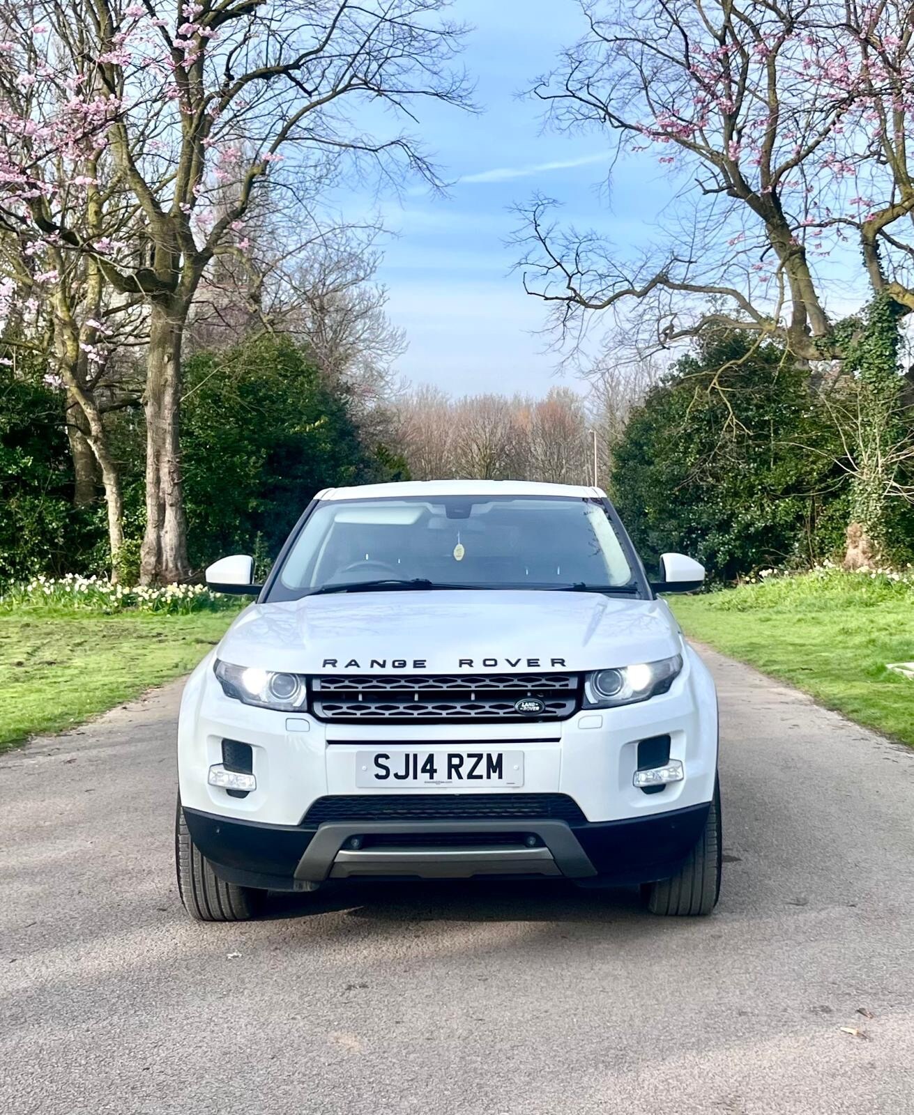 Used Land Rover Range Rover Evoque 2014 for sale - 78043222: Photo 88