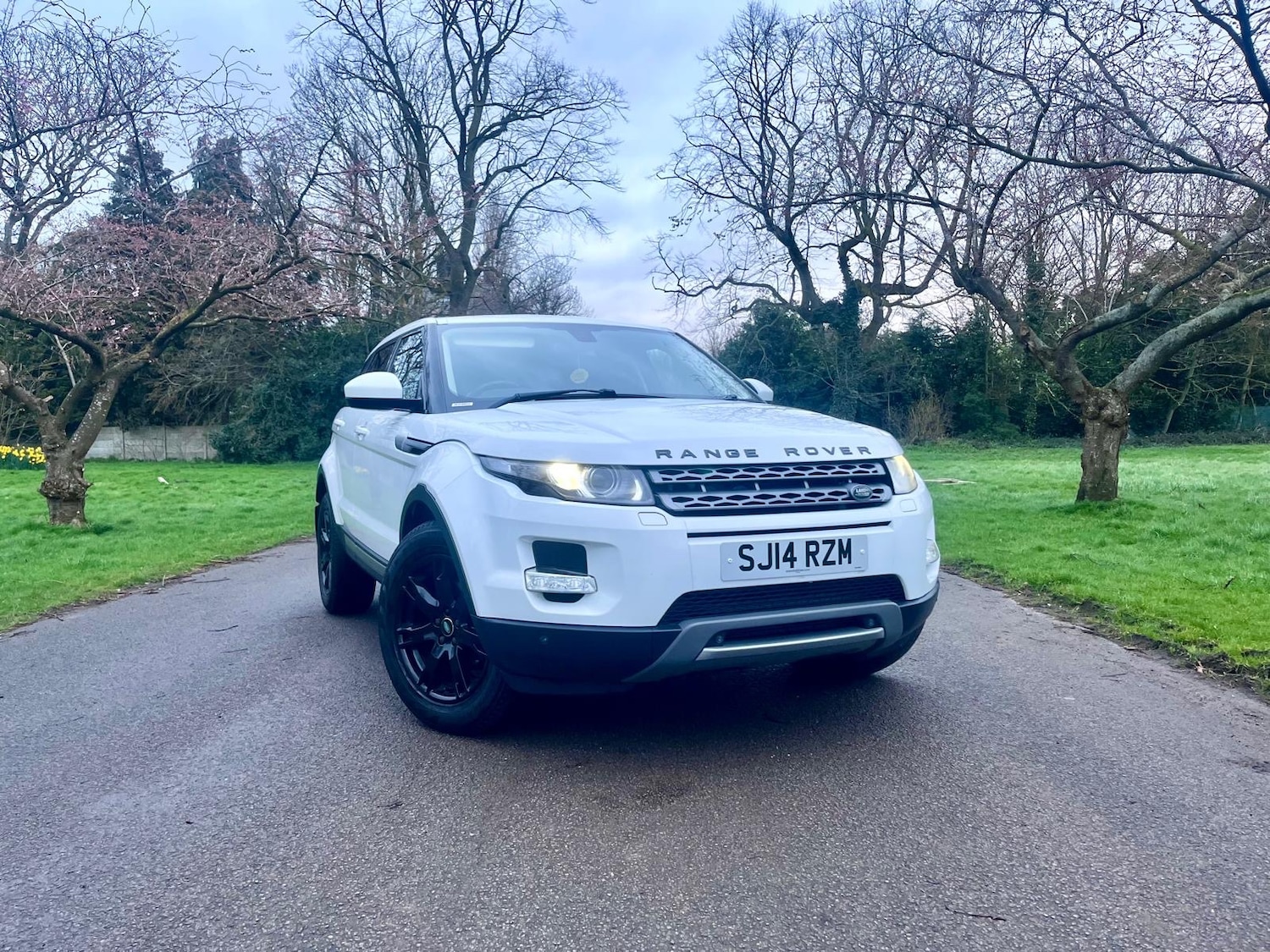 Used Land Rover Range Rover Evoque 2014 for sale - 78043222: Photo 9