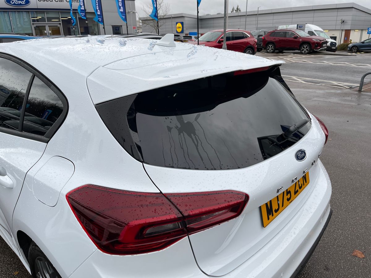 Used Ford Focus 2025 for sale - 77104454: Photo 21