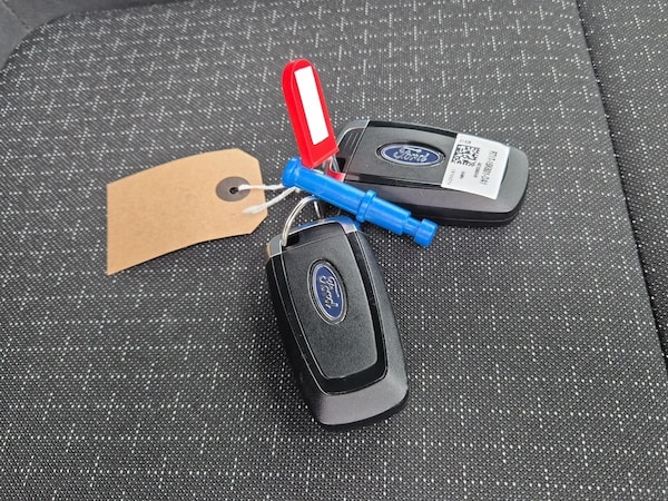 Used Ford Tourneo Custom 2025 for sale - 76163872: Photo 18