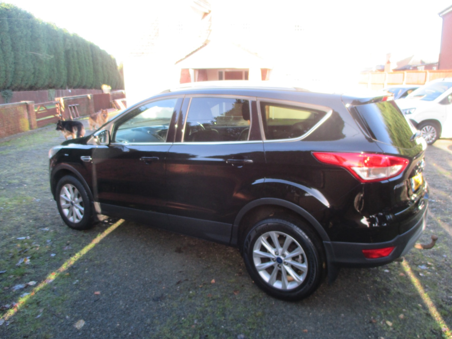Used Ford Kuga 2016 for sale - 76861950: Photo 6