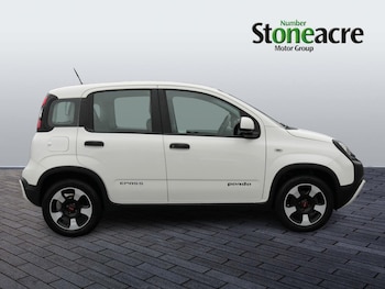 Used Fiat Panda 2023 for sale - 76498961: Photo