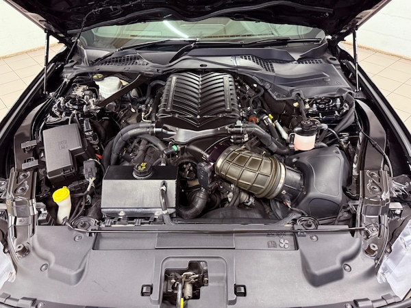 Used Ford Mustang 2019 for sale - 75540273: Photo 20
