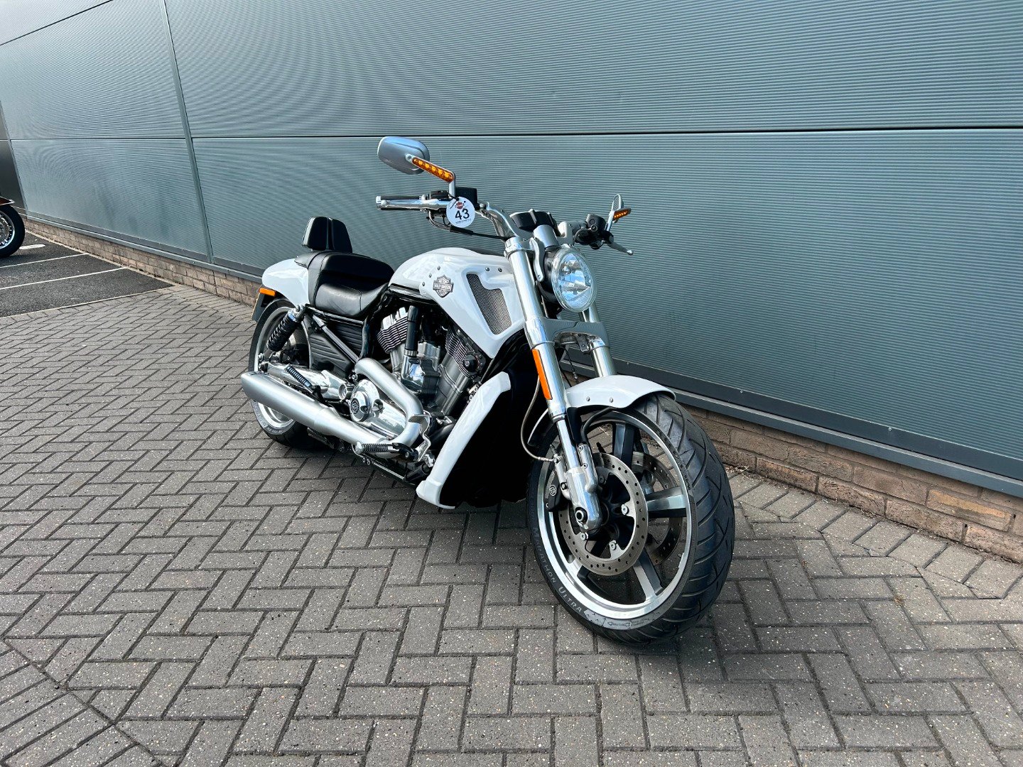 Harley-Davidson V-ROD VRSCF MUSCLE