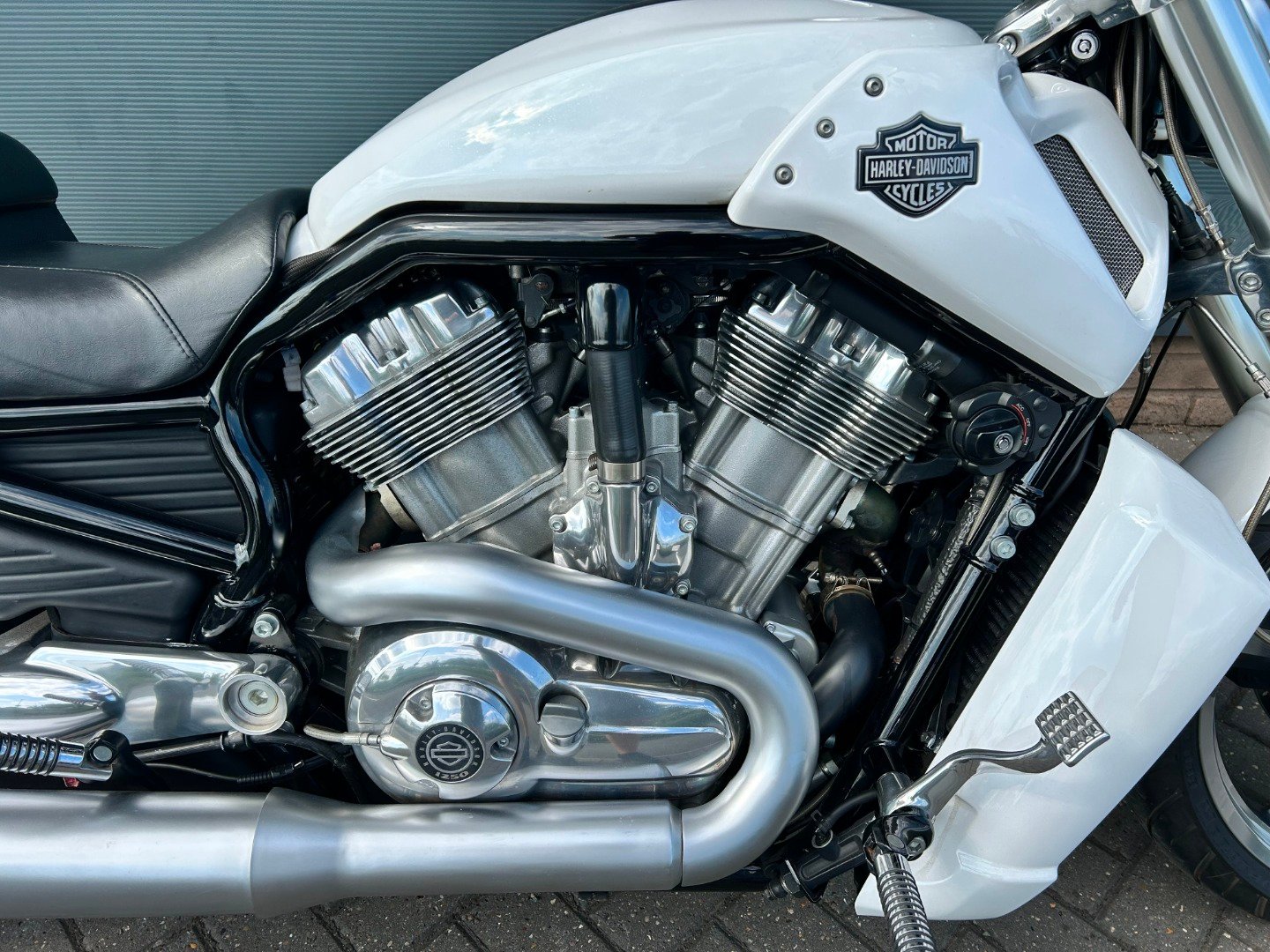 Harley-Davidson V-ROD VRSCF MUSCLE