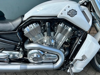 Used Harley-Davidson V-ROD VRSCF MUSCLE 2016 for sale - bike-75011893: Photo