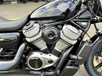 Used Harley-Davidson NIGHTSTER 975 2024 for sale - bike-77075003: Photo